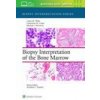 Biopsy Interpretation of the Bone Marrow (Wake,Laura M.,Crane,Genevieve M.,Borowitz,Michael Joseph)(Pevná)