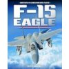 F-15 Eagle (Bertie Simmonds)(Pevná)