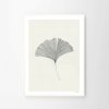 Moikka Plagát Ginkgo Leaf by Ana Frois 50x70 cm