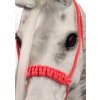 Halter Plus Uzda - Kôň na palici - Rôzne