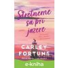 E-kniha Stretneme sa pri jazere - Carley Fortune