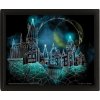 Harry Potter Obraz 3D - Rokfort