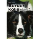 Border kolie