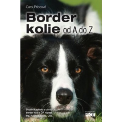 Border kolie