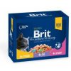 Brit Premium Cat Pouches masovo a RYBIE MIX 1200 g