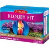 Terezia Company Klouby fit 60 kapsúl