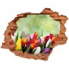 Samolepiaca nálepka Farebné tulipány 90x70 cm