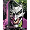 ZUTY Maľovanie podľa čísel - JOKER S PÁČIDLOM (BATMAN) Rámovanie: vypnuté plátno na rám, Rozmer: 40x50 cm