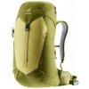 Deuter AC LITE 24 linden-cactus Zelená batoh