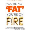 You're Not 'Fat', You're On Fire - Stephen Perrine