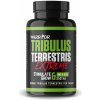 Warrior Tribulus Terrestris Extreme 90% 250 kapsúl