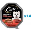 CESAR vanička 14x150 g kompletní krmivo pro dospělé psy se šťavnatým hovězím masem a játry