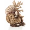 BiOrb Coral-shells ornament natural 22 cm