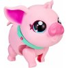 Little Live Pets prasiatko Piggly