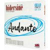 Hidersine Andante Cello set
