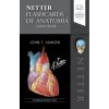 Netter. Flashcards de anatomía (5ª ed.)