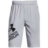 Under Armour Prototype 2.0 Logo Shorts