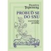 Probuď se do snu - Dumitru Ţepeneag