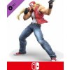 ESD GAMES ESD Super Smash Bros. Ultimate Terry Bogard Challe