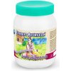 Everest Ayurveda ARTHAVAPRASH - vitalita a žena - bylinný džem 200g (Ajurvédsky bylinný elixír)