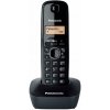 Panasonic KX-TG1611FXH