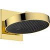 Hansgrohe Rainfinity - Hlavová sprcha, priemer 25 cm, EcoSmart, leštený vzhľad zlata 26227990