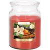 BISPOL Vanilla & Amber 500 g