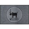 wash+dry Interiérová rohožka Herr Just- Welcome! 50x75 cm Rozmer: 50x75 cm