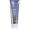 Joico Blonde Life Violet Conditioner fialový kondicionér pre blond a melírované vlasy 250 ml