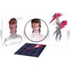 Bowie David - Aladdin Sane / 50th Anniversary / Picture / Vinyl [LP]
