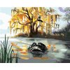 Zuty – Maľovanie Podľa Čísel – Aligátor Hľadiaci Z Vody A Stromy (D. Rusty Rust), 40 × 50 cm, Plátno + Rám 8596530159216