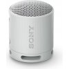 Sony SRS-XB100/Mono/Sivá SRSXB100H.CE7