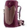 Batoh dámsky Deuter AC Lite 22 SL - ashrose/cassis