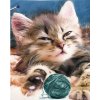 Norimpex Diamantové maľovanie Mačiatko s klbkom 30 x 40 cm