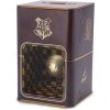 pokladnička pokladnička Harry Potter Golden snitch