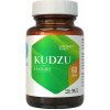 Hepatica Kudzu extrakt 500 mg - 60 kapsúl