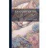 Anatomy of the Cat