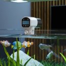 TESLA Smart Fish Feeder TSL-PC-059DW