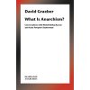 Anarchy--In a Manner of Speaking: Conversations with Mehdi Belhaj Kacem, Nika Dubrovsky, and Assia Turquier-Zauberman (Graeber David)
