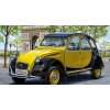 Revell Citroen 2CV Charleston 1:24