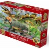 Prime3D Triceratops 3D 100 dielov