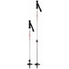 MSR DynaLock Trail Poles