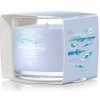 Yankee Candle Ocean Air 37 g