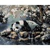 ZUTY Maľovanie podľa čísel - SPIACA PANDA A ROZKVITNUTÝ STROM Rámovanie: vypnuté plátno na rám, Rozmer: 40x50 cm