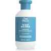 Wella Invigo Scalp Balance Anti-Dandruff Shampoo 300 ml