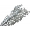 Sušené listy Ruscus metalické cca 60g - strieborné