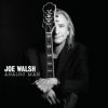 WALSH JOE: ANALOG MAN CD