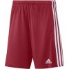 Adidas Squadra 21 M