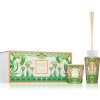 Baobab Collection My First Baobab vonná sviečka 190 g + aróma difuzér s náplňou 250 ml