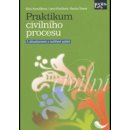 Praktikum civilního procesu